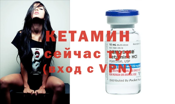 прущие грибы Хадыженск