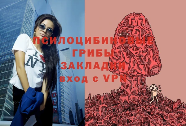 хмурый Белокуриха