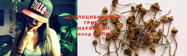 кокс Богородск
