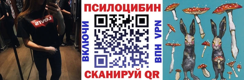 дарнет шоп  Улан-Удэ  Псилоцибиновые грибы прущие грибы 